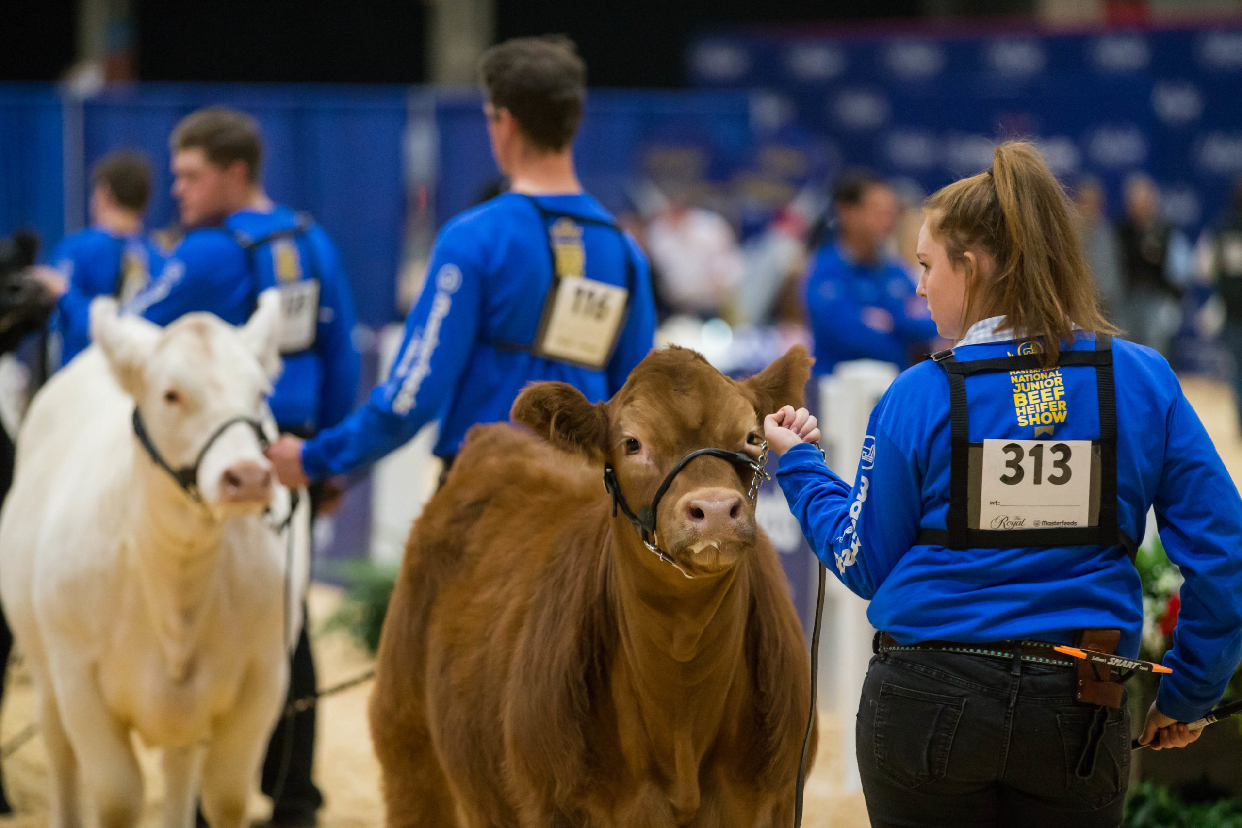 Agriculture Exhibitors • The Royal Agricultural Winter Fair