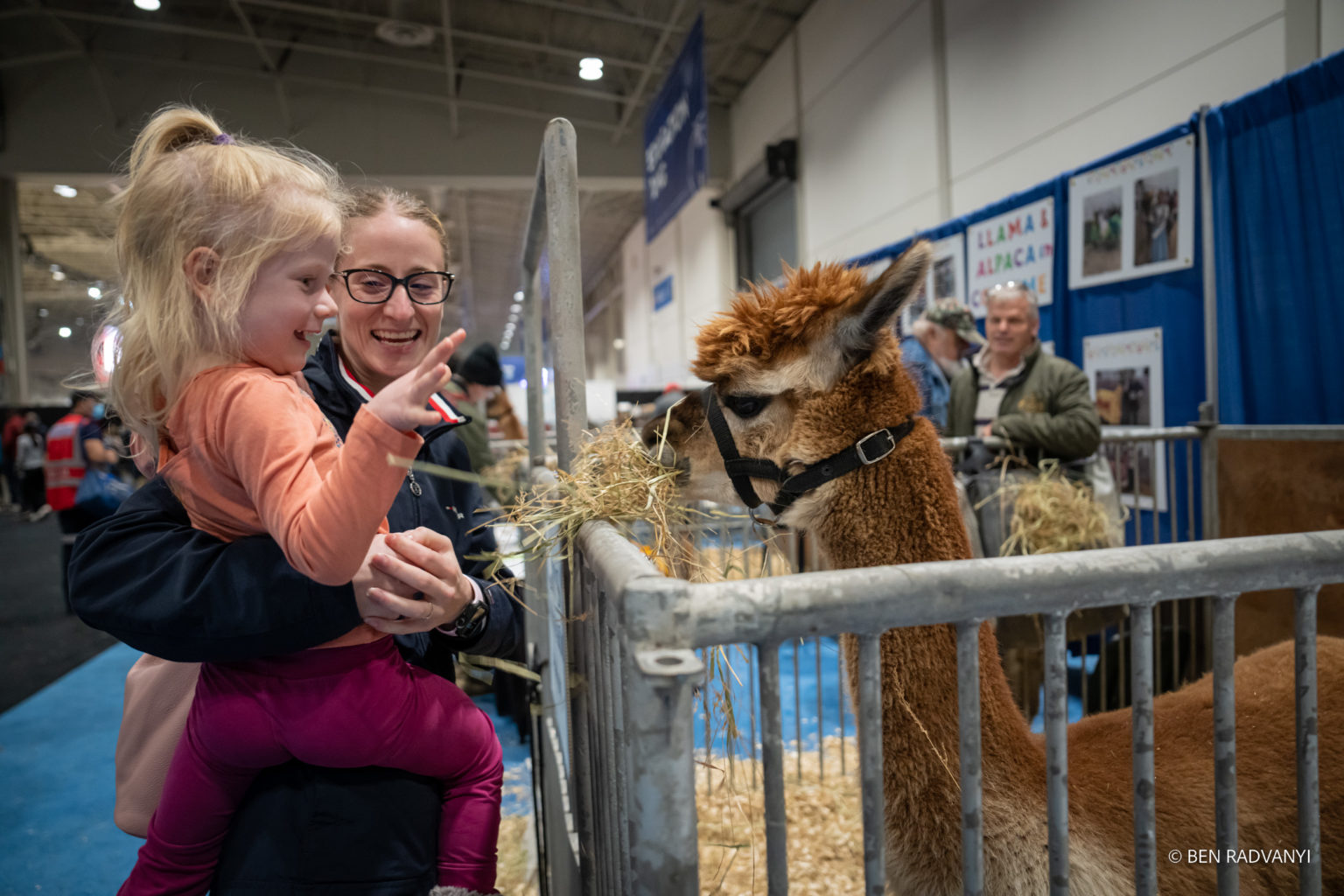 Entertainment & Attractions • The Royal Agricultural Winter Fair